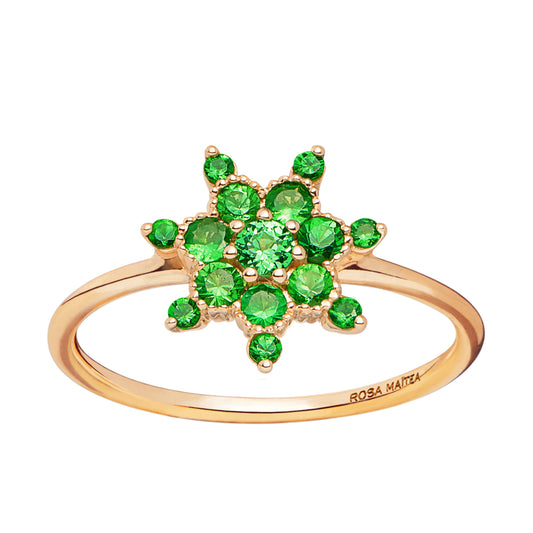 BAGUE ÉTHIQUE TSAVORITA